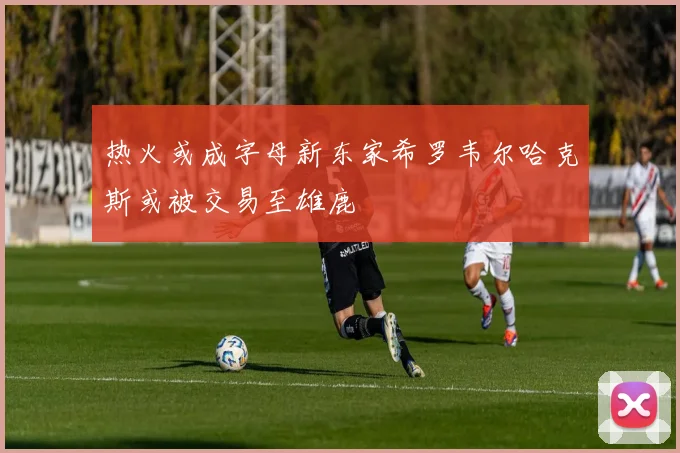 热火或成字母新东家希罗韦尔哈克斯或被交易至雄鹿