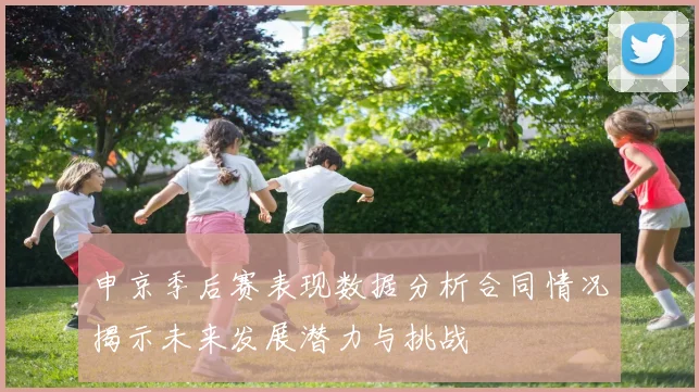 申京季后赛表现数据分析合同情况揭示未来发展潜力与挑战