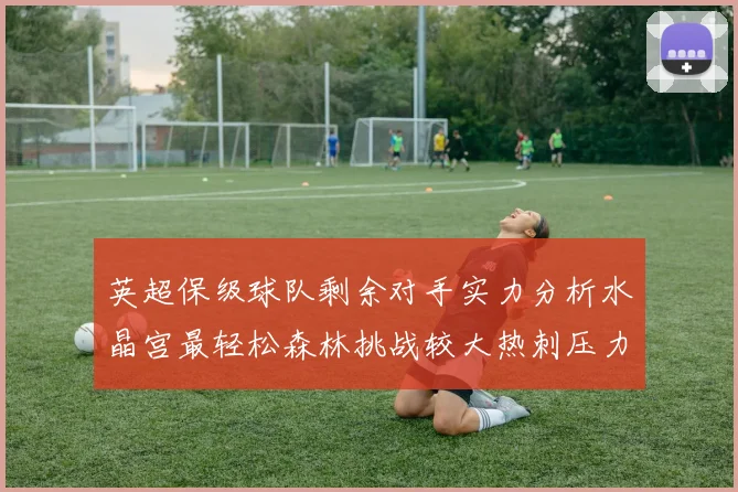 英超保级球队剩余对手实力分析水晶宫最轻松森林挑战较大热刺压力中等